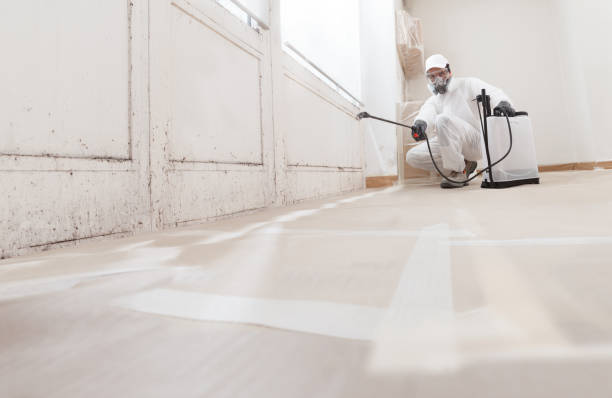 24/7 Emergency Mold Remediation experts in Pennsauken, NJ