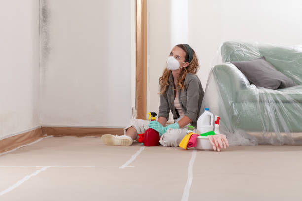 Reliable Mold Remediation contractor in Pennsauken, NJ by WQB Mold Removal