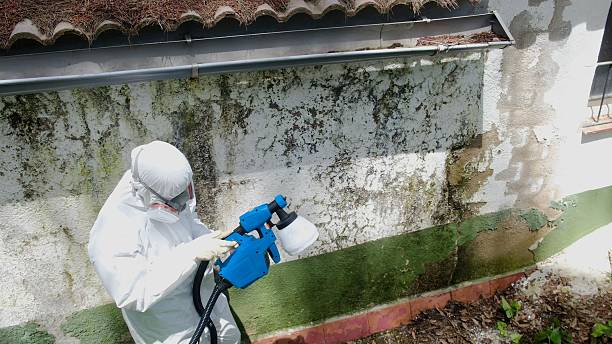 Top rated local Mold Remediation specialists in Pennsauken, NJ